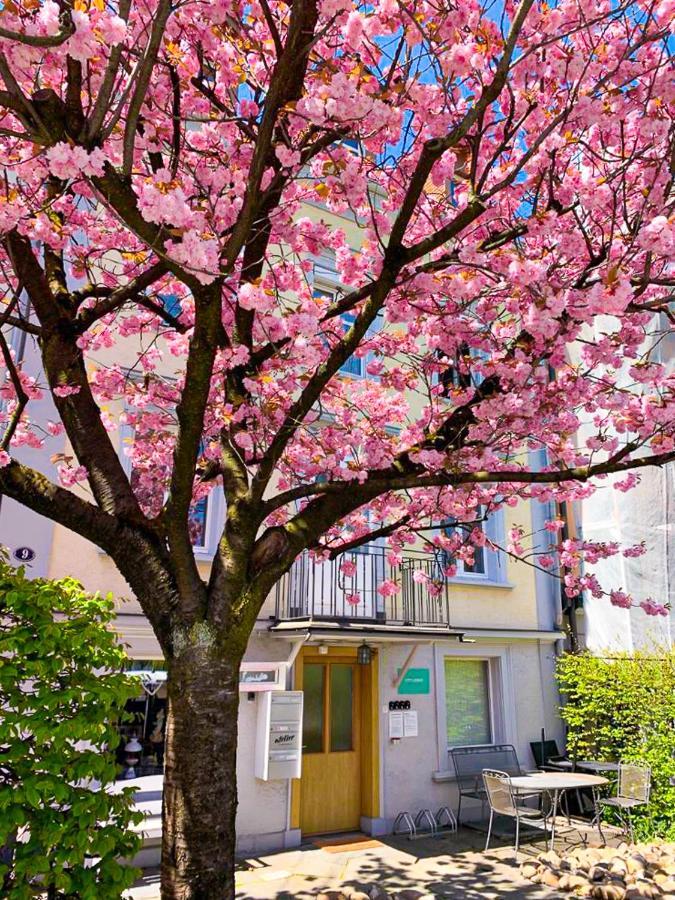 Citylodge St Gallen - 2 Min To Marktplatz St. Gallen Exteriör bild